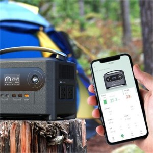 700W Portable energy battery for household applications