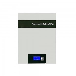 Wall Mounted 12V Lithium Ion Battery